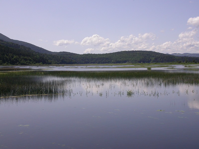 Cerknisko Jezero periodical lake 3.JPG